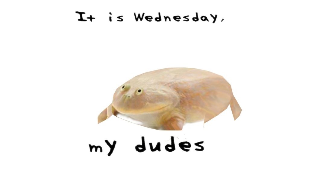 its wednesday my dudes