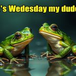 its wednesday my dudes