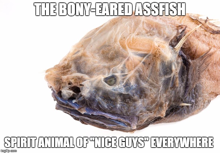 bony eared assfish