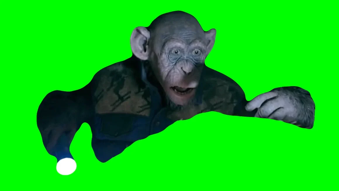 oh no monkey meme