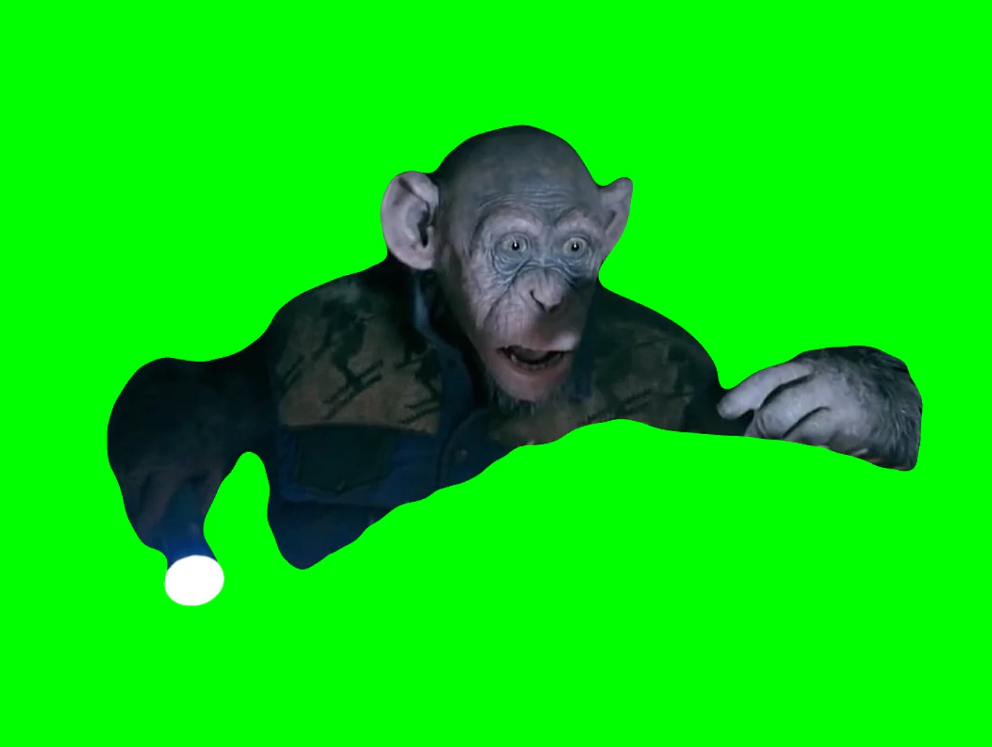 oh no monkey meme