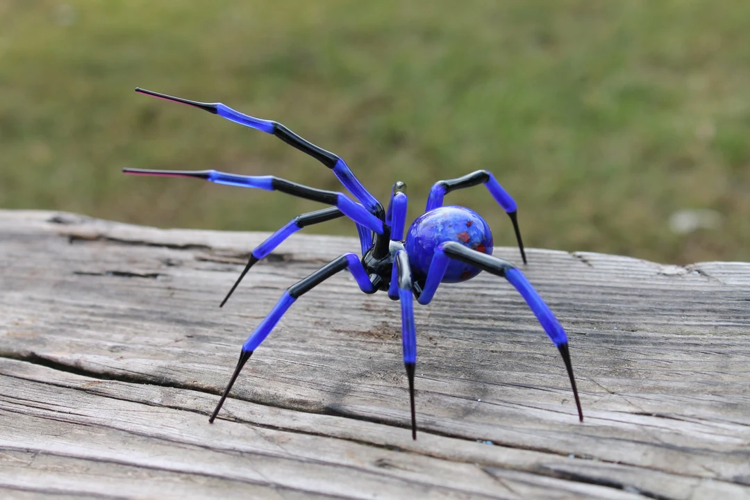 Final Thoughts The story of the blue spider is more than just a tale of mutation and mystery. It’s a mirror—a reminder that power always comes with choice. Elian didn’t ask to be chosen, but once he was, he chose to protect instead of destroy. And perhaps that’s the real message behind it all: the most dangerous power isn’t what lives within the spider, but what lives within us. So next time you see a shimmer of blue in the shadows or feel a strange pull toward something unknown, remember—the blue spider may not be gone. It may just be watching, waiting... for the next one.