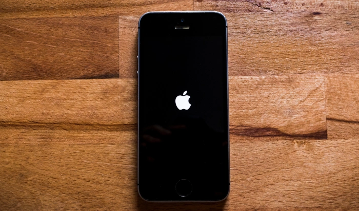 iphone stuck on apple logo
