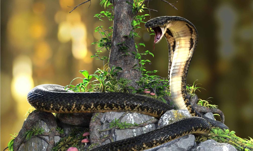 what eat snakes