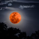 tonight moon orange